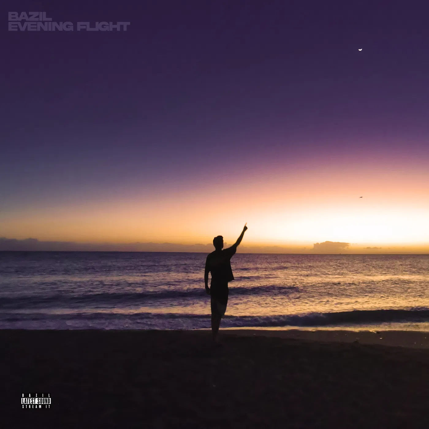 Evening Flight — Bazil